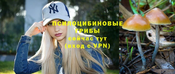 хмурый Белоозёрский