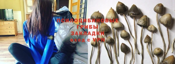 гашик Белокуриха